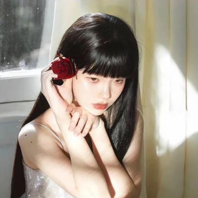 少年讼师纪晓岚
